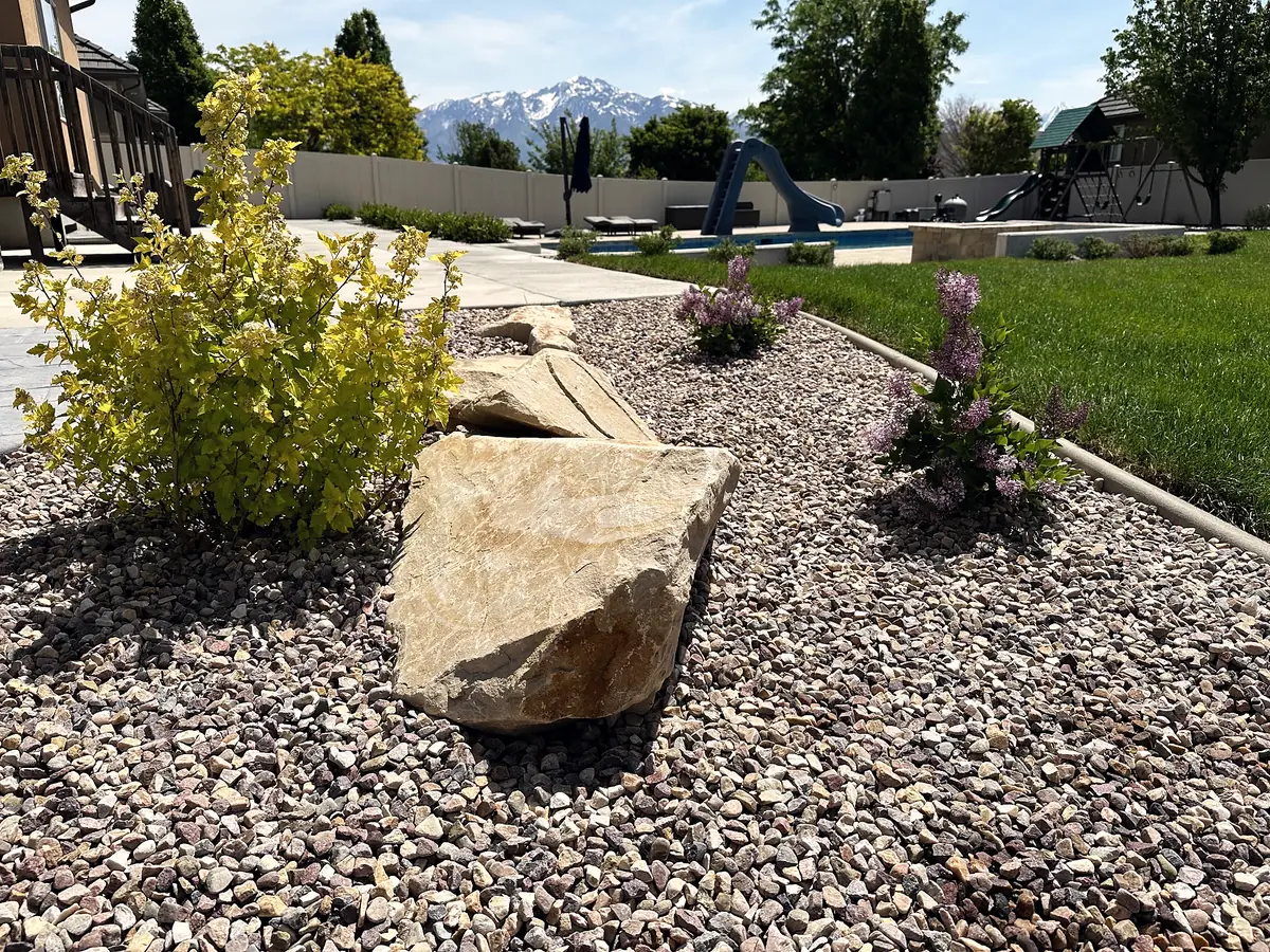 Boulders and shrubs in rock