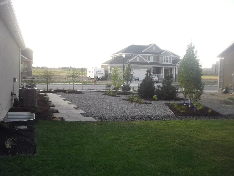 Backyard rock beds, stepping path and new trees