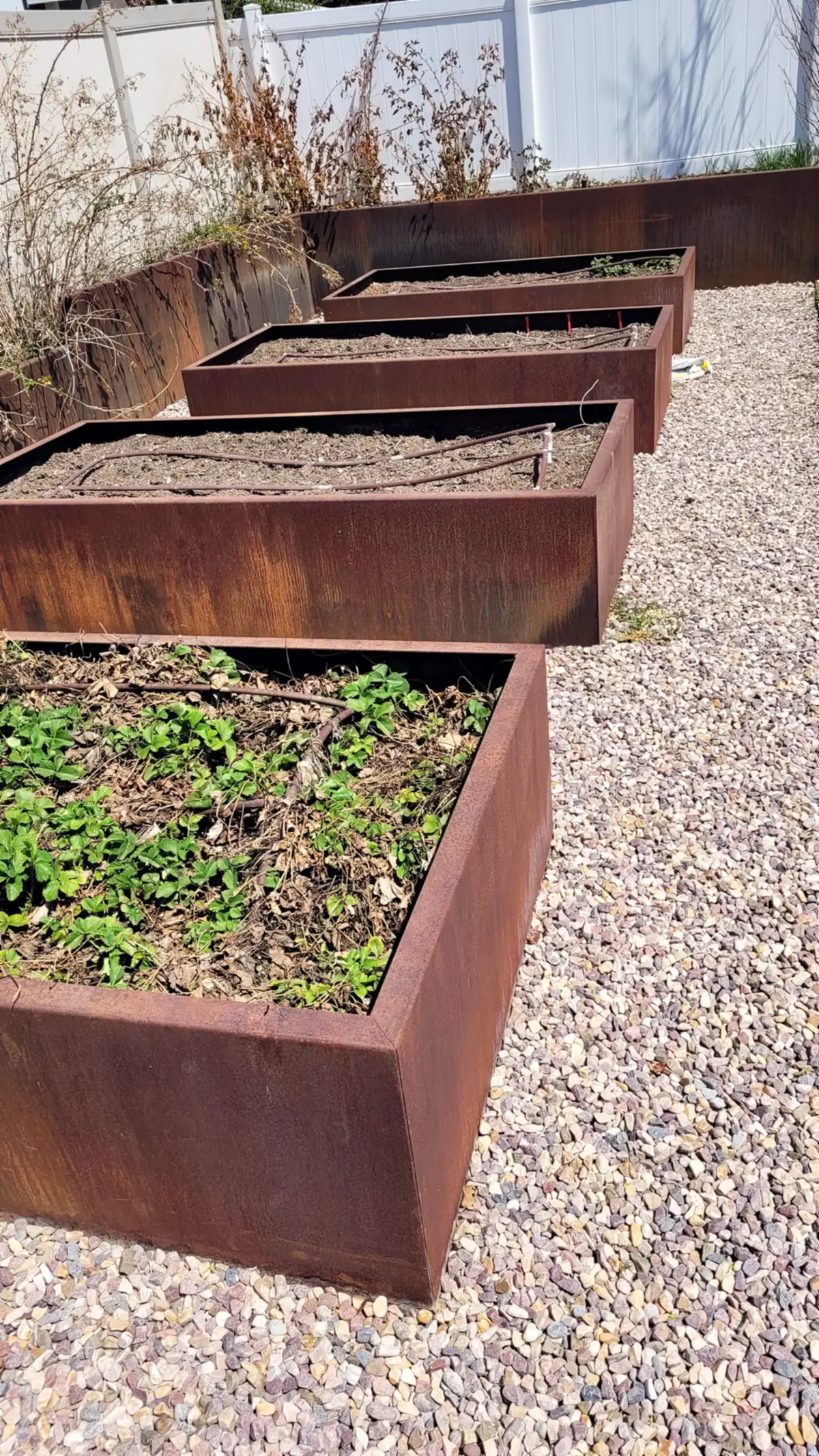 Weathering steel planter boxes